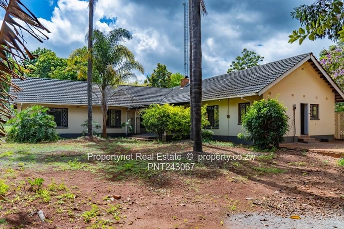 Renovator’s Dream!!!