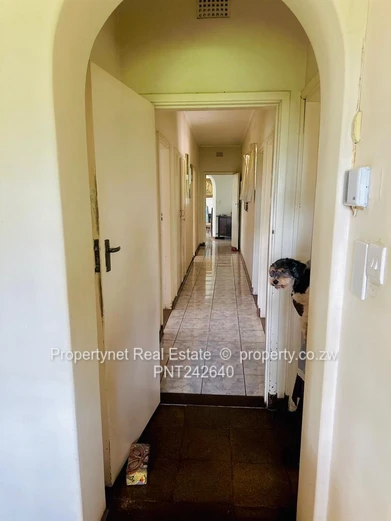 Solid neat family home!!!