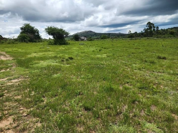 Farm & Agricultural Land