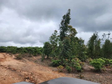 Farm & Agricultural Land