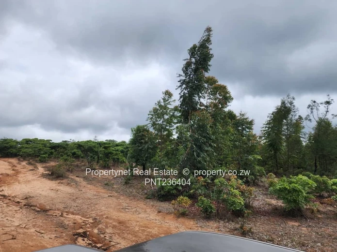 Manicaland Farm for sale.