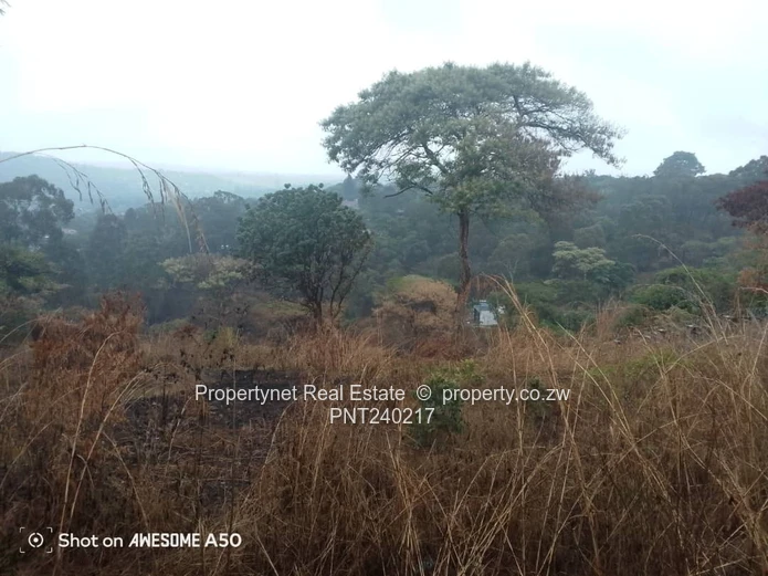Land for sale!!!