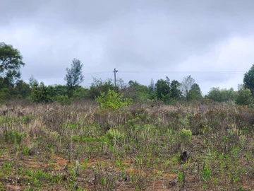 Farm & Agricultural Land