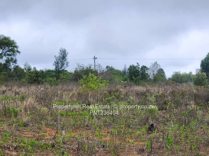 Manicaland Farm for sale.