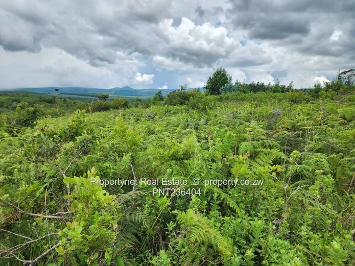 Manicaland Farm for sale.