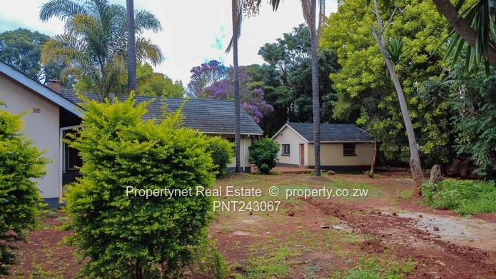 Renovator’s Dream!!!