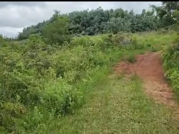 Farm & Agricultural Land