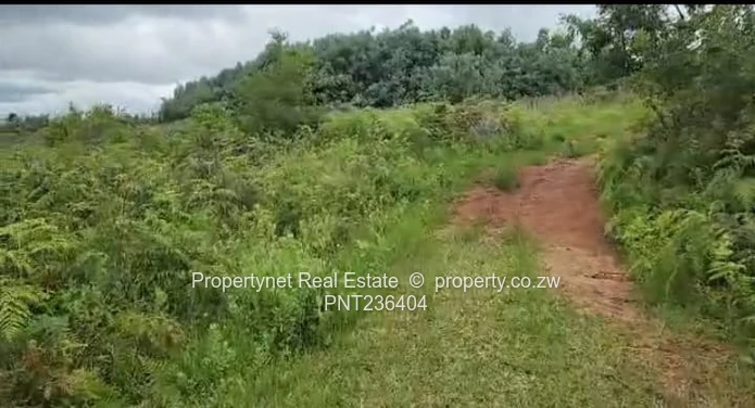 Manicaland Farm for sale.