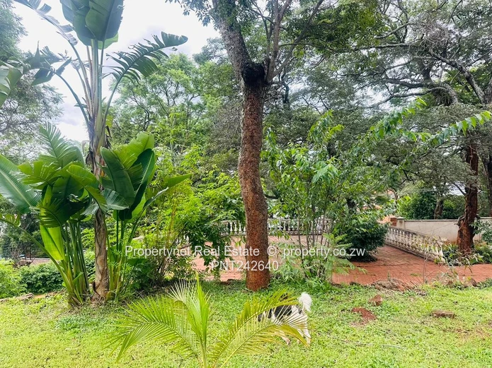 Solid neat family home!!!