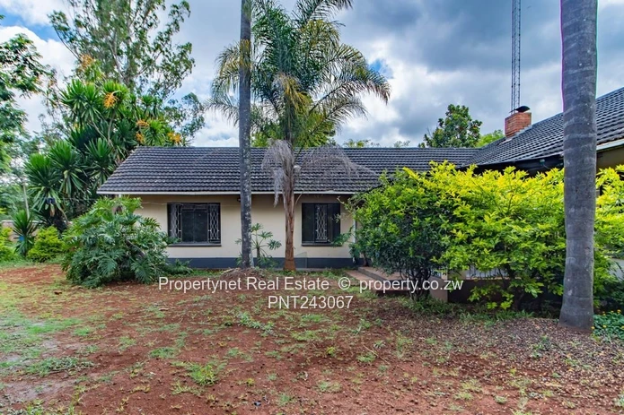 Renovator’s Dream!!!